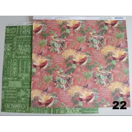 Hoja Graphic45   C/U  22