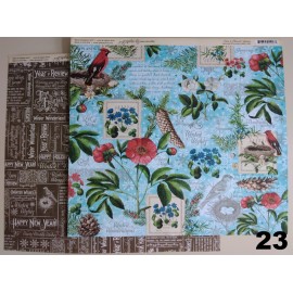 Hoja Graphic45   C/U  23