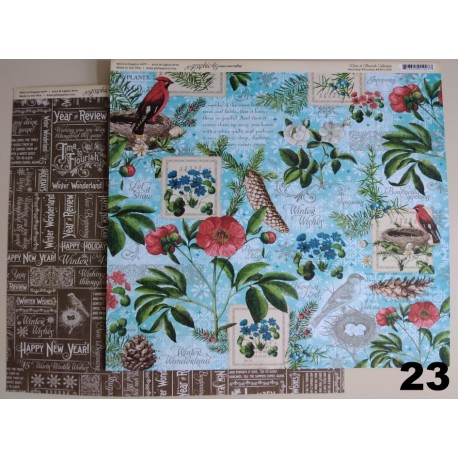 Hoja Graphic45   C/U  23