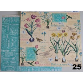 Hoja Graphic45   C/U  25